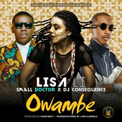 "OWAMBE" LISA LI Ft SMALL DOCTOR, DJ CONSEQUENCE (Prod. by ZIPPY HONEYBEAT)