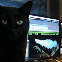 23 REEL ELECTRONIC ARTISTS #1