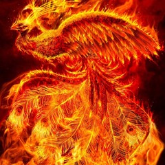 Fenix  (Hermano Lobo)
