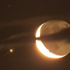 JUPITER'S TRIBE 98