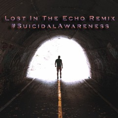 DisOrder The Rapper - Lost In The Echo Remix