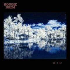 BOOGIE BRIM - INTRO
