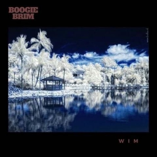 BOOGIE BRIM - INTRO