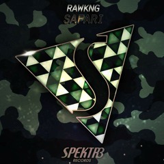 RAWKNG  Safari (Original Mix) [SPEKTR3 RECORDS EXCLUSIVE] FREE DOWNLOAD