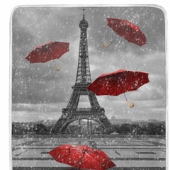 Make it Rain in Paris - Wax Motif, AC Slater, Chris Lorenzo (Slurm Shady Mashup)