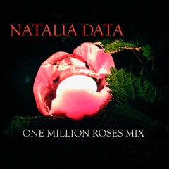 One Million Roses Mix by Natalia Data