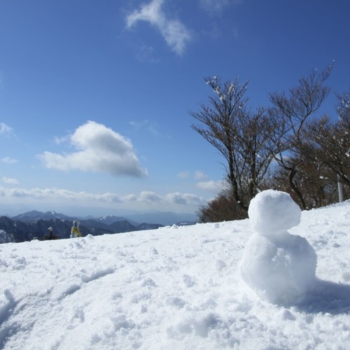 ゆきだるま冒険記 - The Snowman's Adventure
