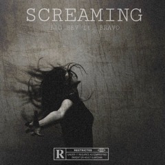Screaming ft. BRAVO (Prod by. Yung Tago)