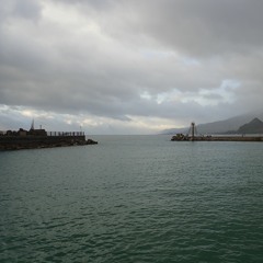 181223 Unkown Fish - Haikou Harbour