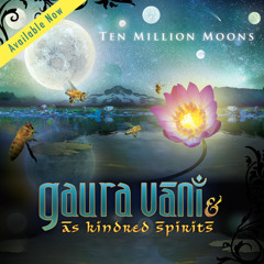 Thunder and Lightning (Radha Krishna Pran)