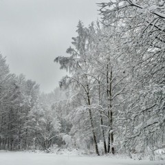 TNFDEMONXLUKOVICCCC // SNOW