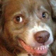 Money-(Prod. @FarrokhBeats)