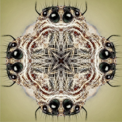The Cure - Lullaby (Baba Sikander's Edit)[Free DL]