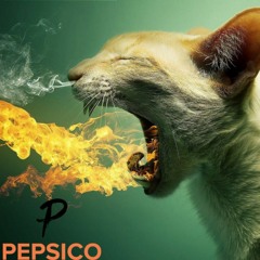 Loco Gato