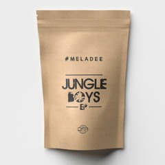 MELADEE & ANN DANK JUNGLE BOYS EP DFRO19