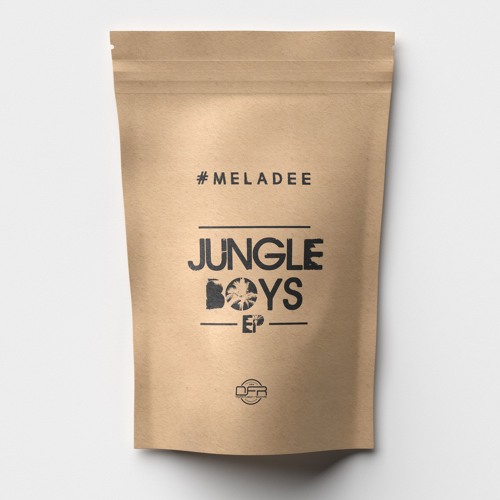MELADEE & ANN DANK JUNGLE BOYS EP DFRO19