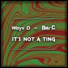 Its Not A Ting Ft. Bru-C  [Free Download]