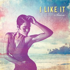 I Like It (Remix)