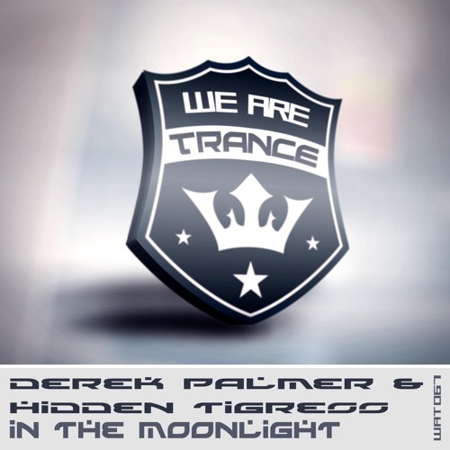 Derek Palmer & Hidden Tigress - In The Moonlight (Extended Mix) - Prevew