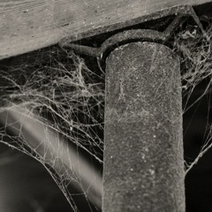 Shake Your Cobwebs Loose