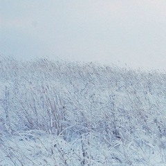 Kalėdų naktis (Christmas night)
