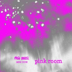 Pink Room (dub punk jamming)