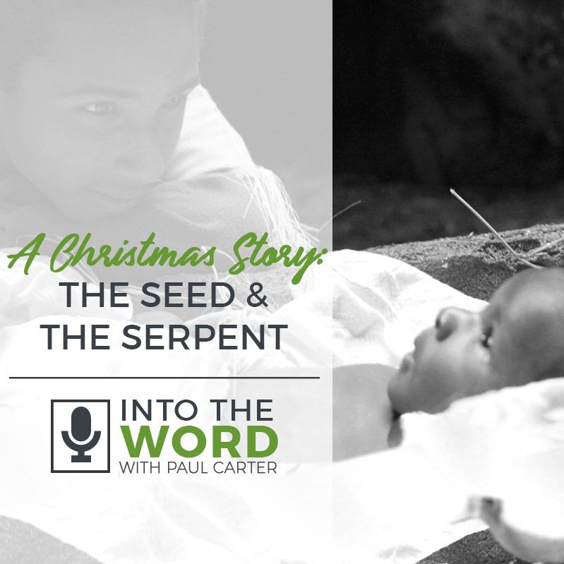 A Christmas Story: The Seed And The Serpent