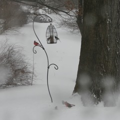 Snow Soul Groove Machine