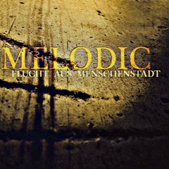 09 - Melodic - Deine Bilder