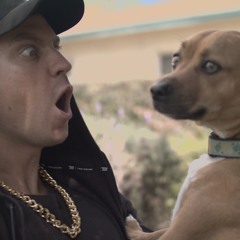 Eminem Disses Everything (parody)