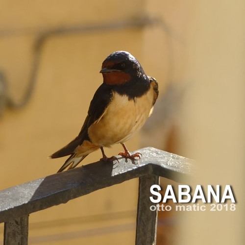 Sabana