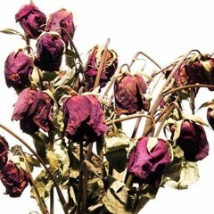 Andrew Cole - Dead Roses Feat. Kathleen Edwards (C - Records Mix)