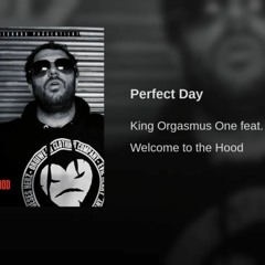 Perfect Day - King Orgasmus One feat. J.A.N.A