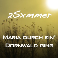Maria durch ein' Dornwald ging - 2Sxmmer Remix