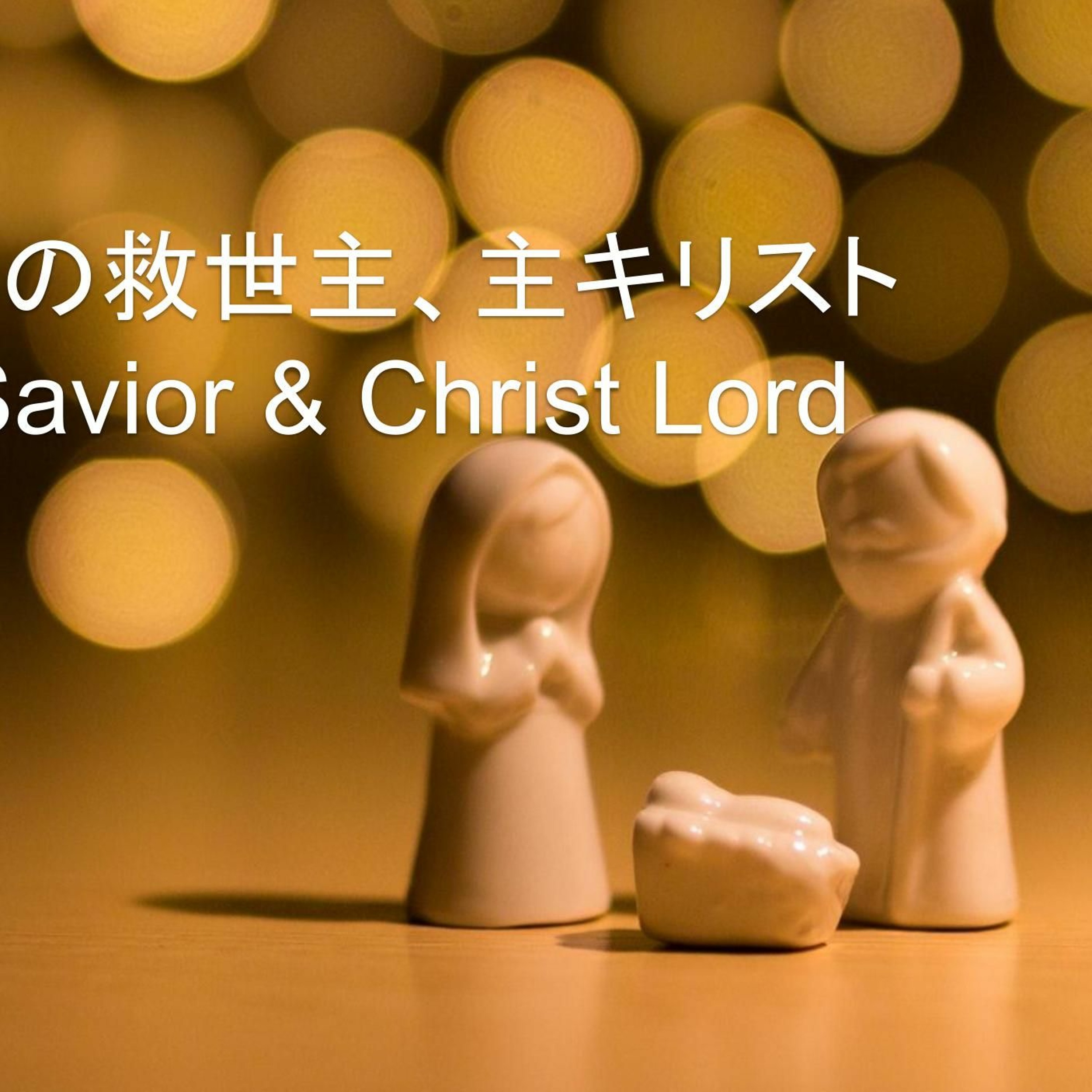 Luke / ルカ 2,4-12; 16-20 - イエス：私たちの救世主、主キリスト Jesus, our Savior & Christ Lord episode artwork