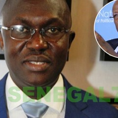 Mamadou Diongue tance Abdoulaye Bathily: "Il souffre d'une plaie dans son cœur"