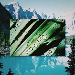 GET IN THE GROOVE  (リサフランク420 ／ CHRISTMAS REMIX)