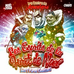 NOËL 2018 - LES ESPRITS DE LA FORÊT DE NOËL - 1 - LA VISION DES FRERES FOUETTARD