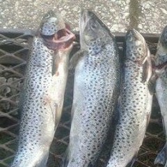 Utwory z poniedziałek po południu