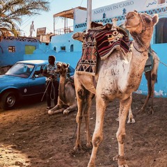 CAIRO ORIENTAL
