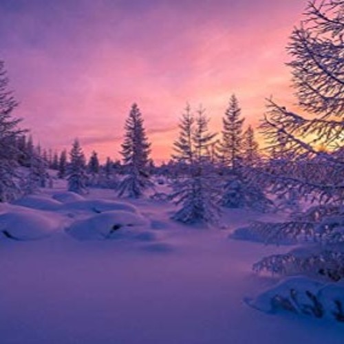 Forest Snowfall