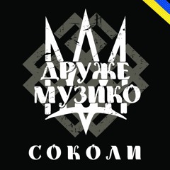 Друже Музико - Соколи