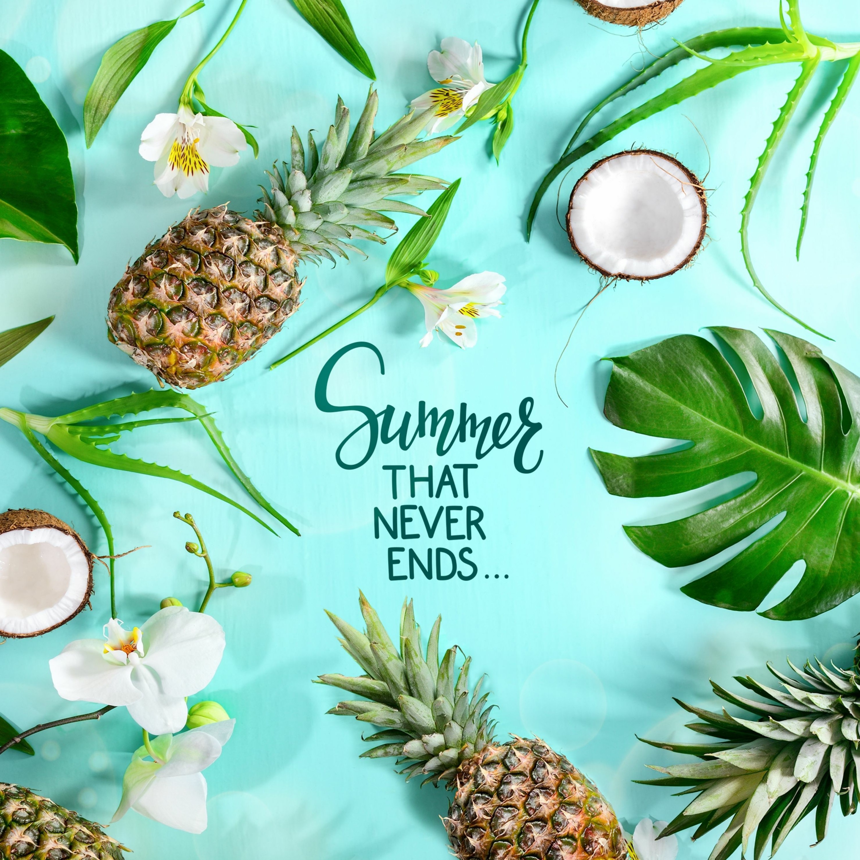 BRK @ WELCOME TO SUMMER MIX / 2019 [FREE DOWNLOAD] episode artwork