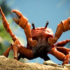 just another dnb crab rave