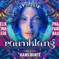 Vips Calli  @ Raumklang Meets Hans Bunte 09.11.2018