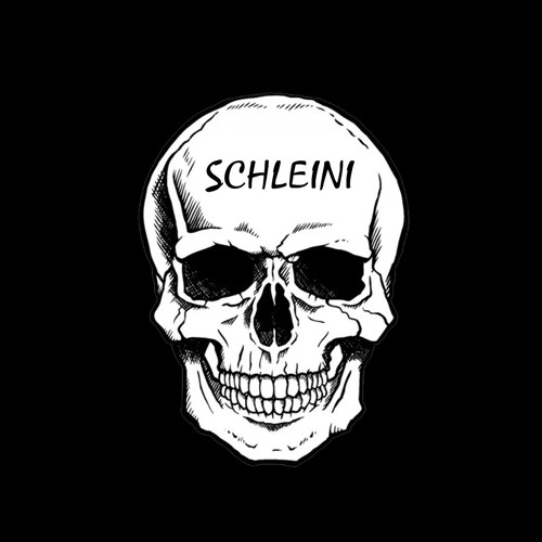 Schleini - Dark Rise