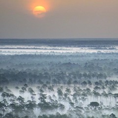 aggregation of marginal gains