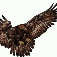 العُقاب - Vultuer