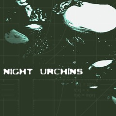 Night Urchins