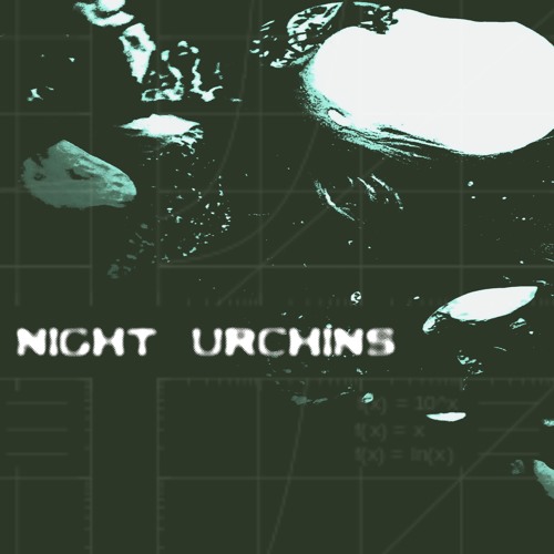 Night Urchins